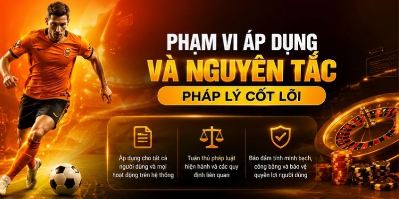Phạm vi áp dụng miễn trừ trách nhiệm QH88 và nguyên tắc cốt lõi
