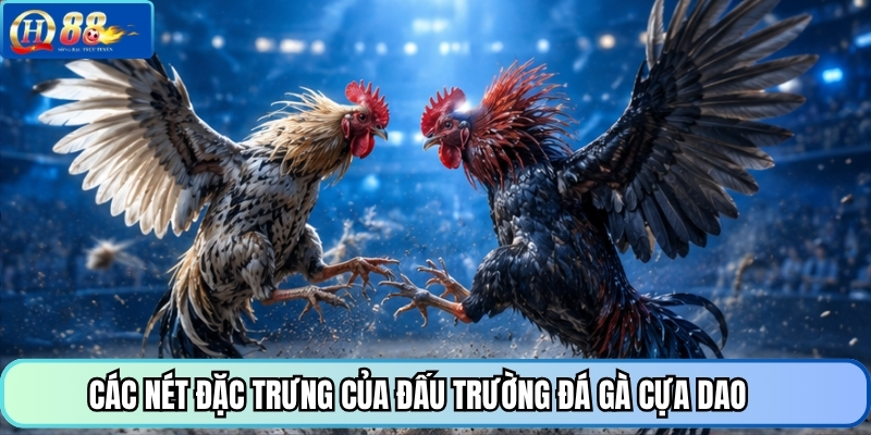 Các nét đặc trưng của đấu trường đá gà cựa dao