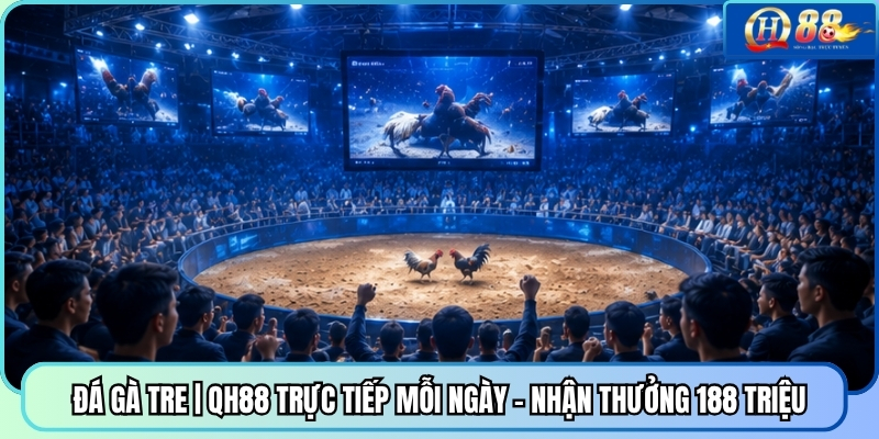 Đá Gà Tre | QH88 Trực Tiếp Mỗi Ngày - Nhận Thưởng 188 Triệu