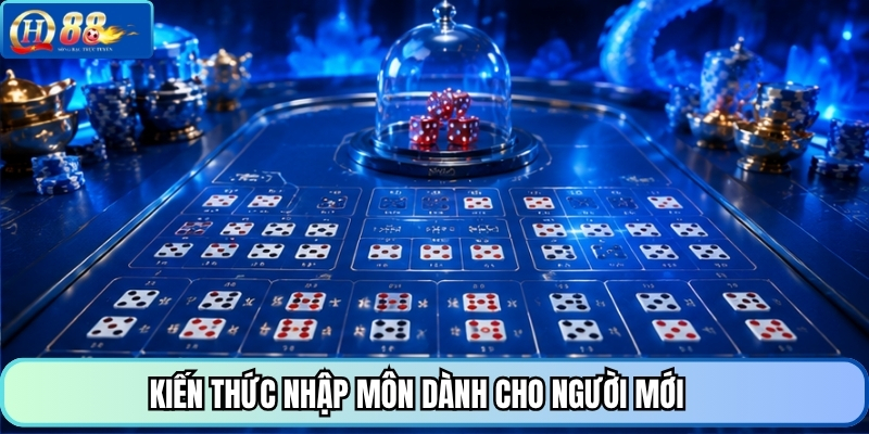 Kiến thức nhập môn dành cho người mới