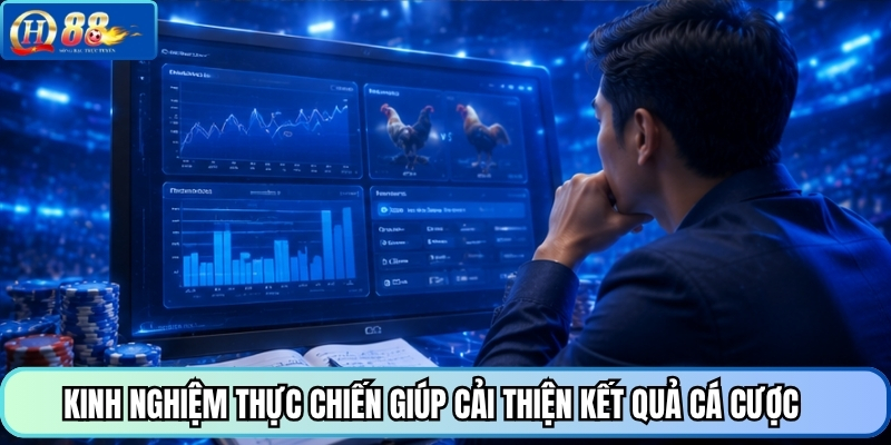 Kinh nghiệm thực chiến giúp cải thiện kết quả cá cược