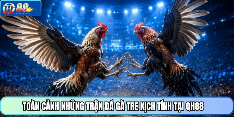 Toàn cảnh những trận đá gà tre kịch tính tại QH88