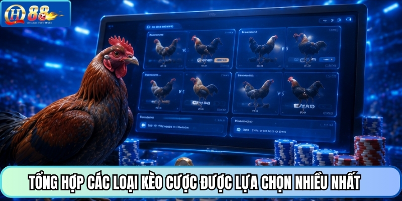 Tổng hợp các loại kèo cược được lựa chọn nhiều nhất